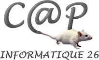 Société de services informatiques